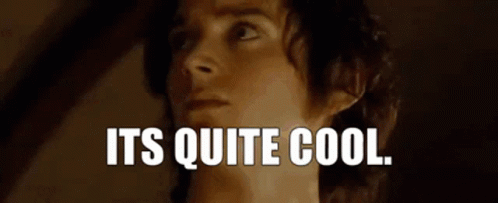 Lotr Its Quite Cool GIF