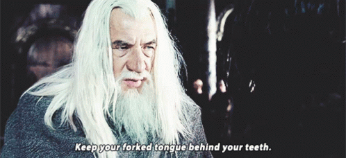 Lotr Keep Your Forked Tounge Behind Your Teeth GIF