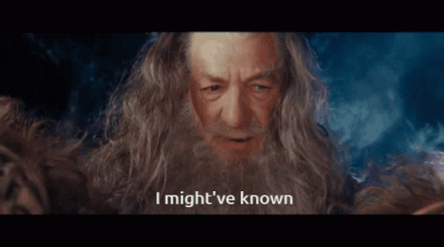 Lotr Gandalf I Might Have Known GIF