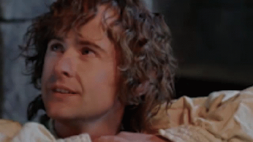 Lotr Is There Never Was Much Hope GIF