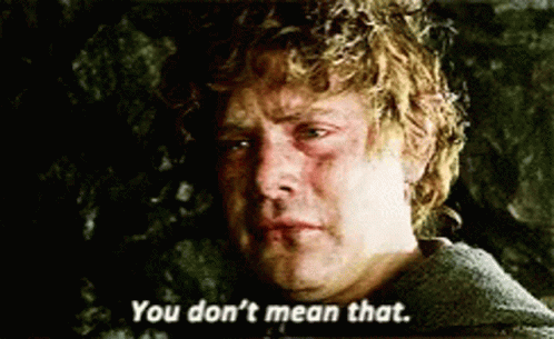 Lotr You Don't Mean That GIF