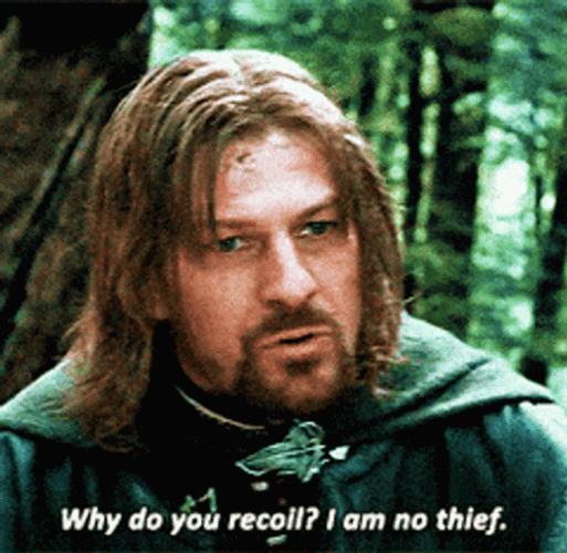 Lotr Sean Bean I Am No Thief GIF