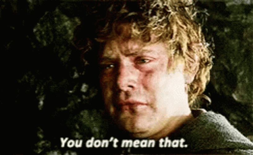 Lotr You Don't Mean That GIF