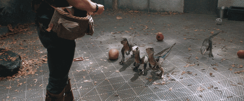 Lots Of Baby Velociraptor Being Fed GIF
