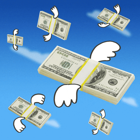 Lots Of Cash With Wings GIF