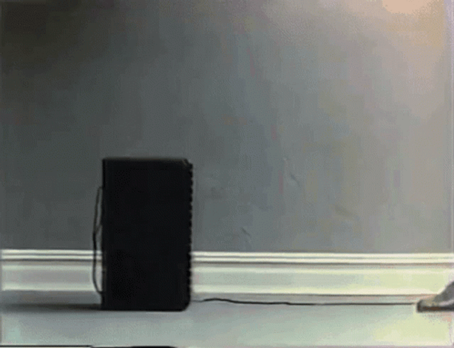 Loud Noises Speaker Chilling GIF
