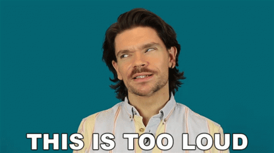 Loud Noises This Is Too Loud Robin James GIF
