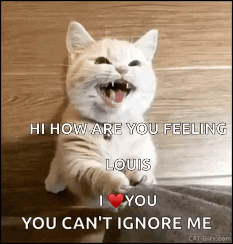 Louis I Love You Can't Ignoring Me GIF