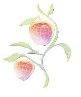 Love And Deepspace Paradise Fruit Sticker GIF