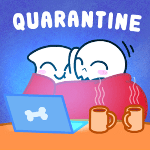 Love Couple Quarantine together GIF