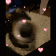 Love Dog Face Closeup With Pink Hearts GIF