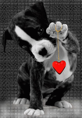 Love Dog Holding Heart Necklace GIF