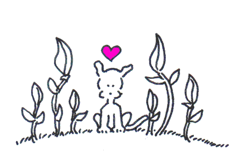 Love Flowers