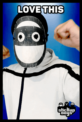 Love This Mask Stickup Boys GIF