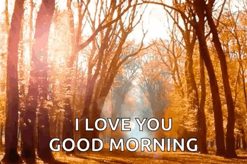 Love You Happy Fall Sunday Good Morning GIF