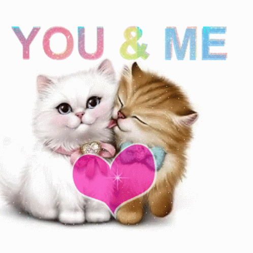 Love You Kitten GIF