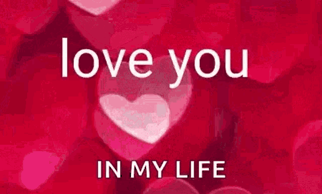 Love You So Much In My Life GIF