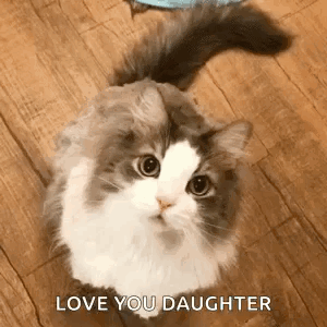 Lovely Cat Winking Love You Daughter GIF