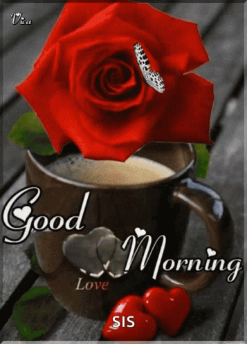 Lovely Good Morning Sister Red Rose GIF