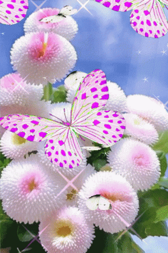 Lovely Pink Butterflies GIF