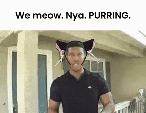 Low Tier God Ohio GIF