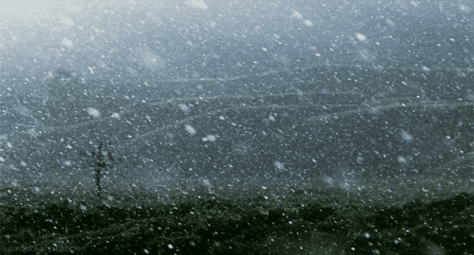 Low Visibility Snow Storm In Mountain Ranges GIF