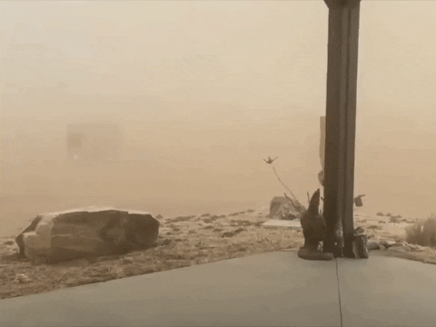 Low Visibility Spinning Weather Vane Dust Storm GIF
