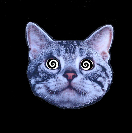 Lsd Cat Eyes Trip GIF