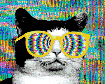 Lsd Cat Vibing Chilling GIF