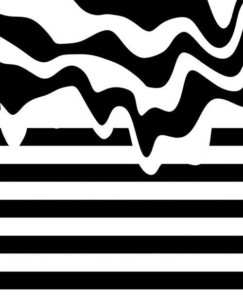 Lsd Distort Black And White GIF