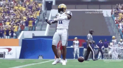 Lsu Football Brian Thomas GIF