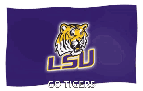 Lsu Football Go Tigers GIF