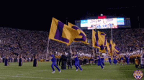 Lsu Football Letter Flags Out GIF