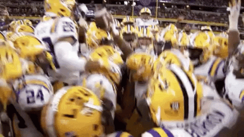 Lsu Football Rejoicing GIF