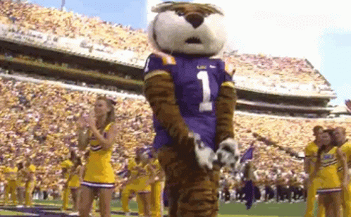 Lsu Football Tiger Mascot GIF