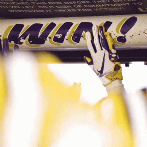 Lsu Football Win GIF