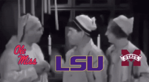 LSU Group of People