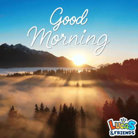 Lucas & Friends Advertisement Sunset Over Foggy Forest