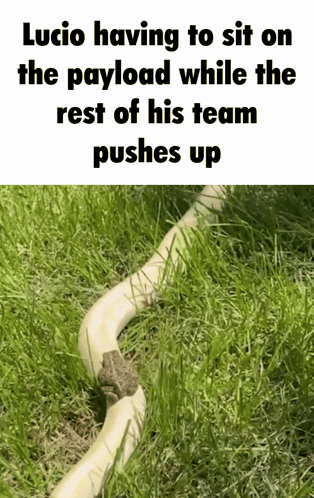 Lucio Sitting On Payload As Team Pushes GIF