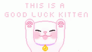 Good Luck White Kitten GIF