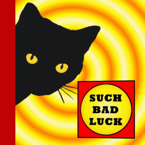 Black Kitten Bad Luck GIF