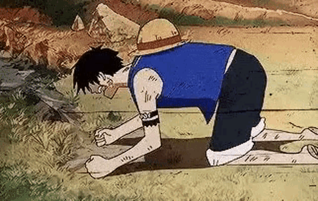 Luffy Crying & Mourning GIF
