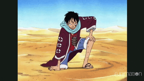 Luffy Fighting With Vivi GIF