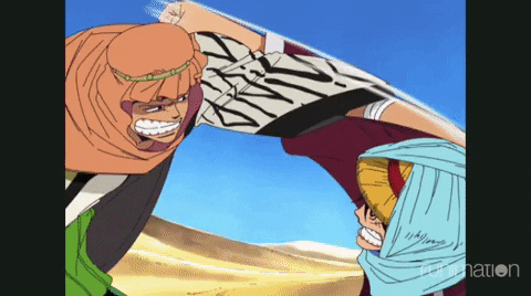 Luffy Fighting Zoro In A Desert GIF