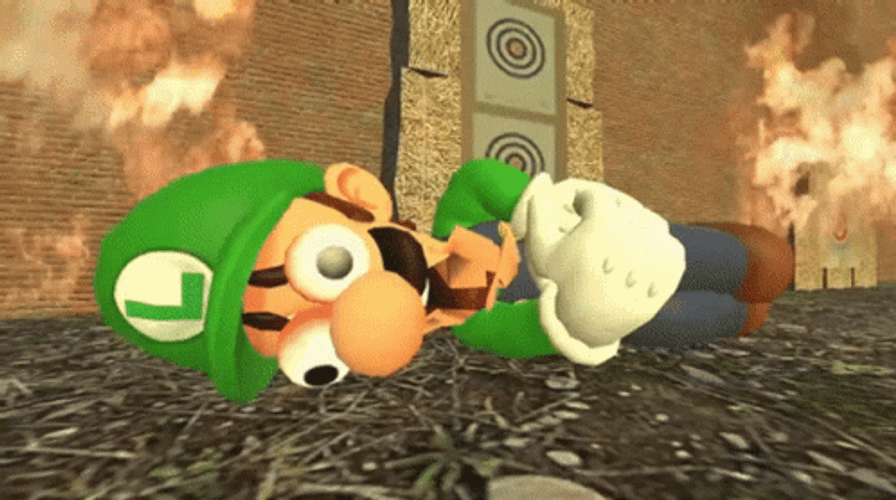 Luigi Terrified Fire Accident GIF