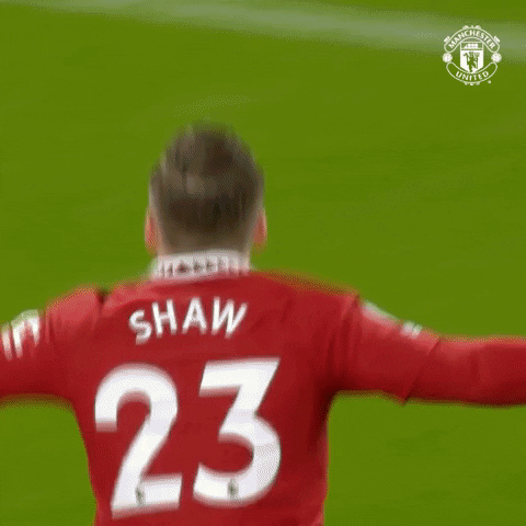 Luke Shaw Cheering On The Field GIF