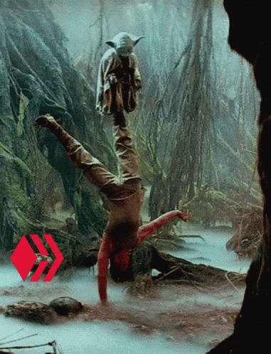Luke Skywalker Training By Master Yoda GIF