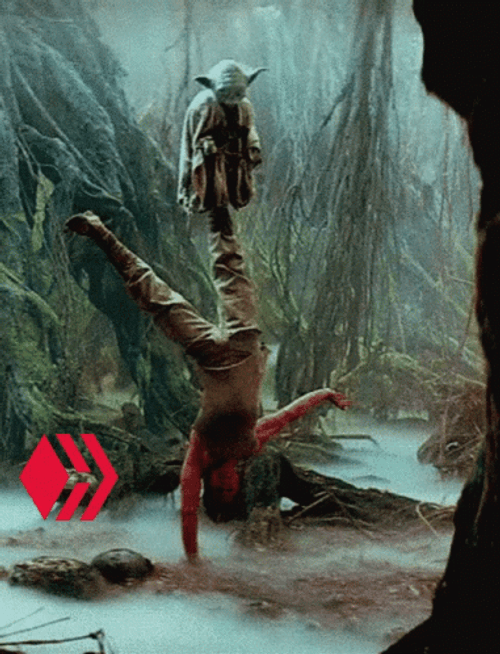 Luke Skywalker Training By Master Yoda GIF