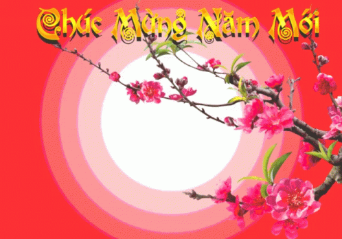 Lunar New Year 2022 Pink Flowers Fireworks GIF