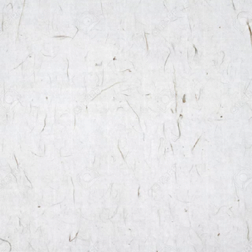 Lunar New Year Long Chinese Handwriting GIF